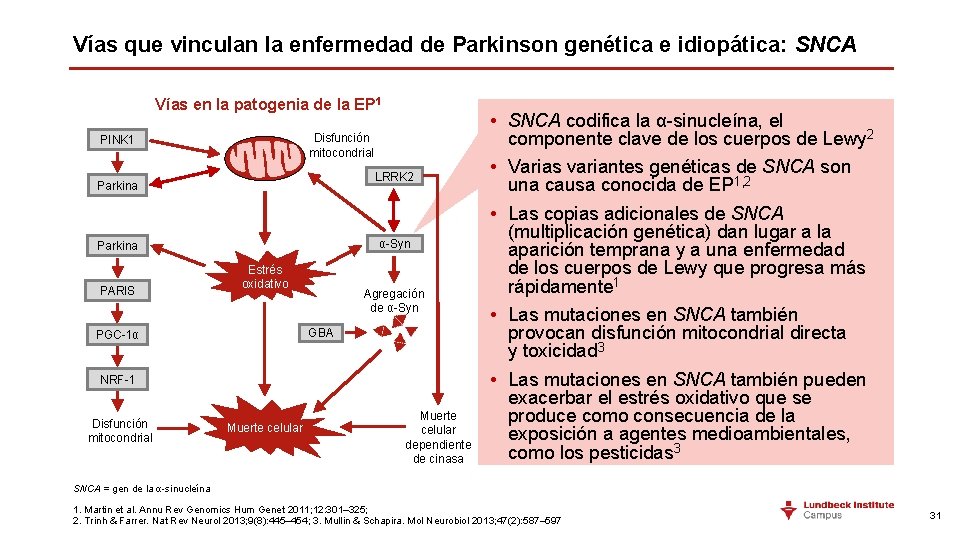 Vías que vinculan la enfermedad de Parkinson genética e idiopática: SNCA Vías en la