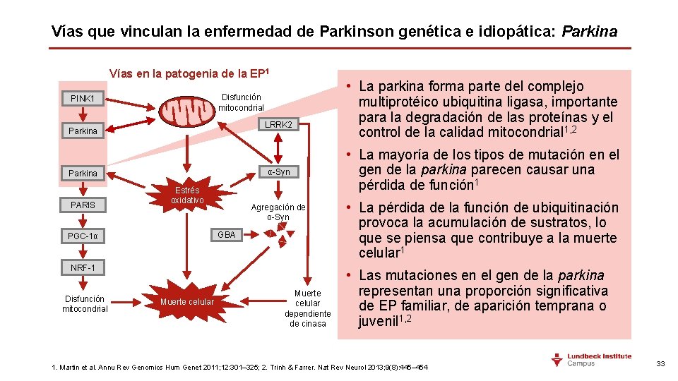 Vías que vinculan la enfermedad de Parkinson genética e idiopática: Parkina Vías en la