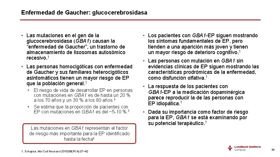 Enfermedad de Gaucher: glucocerebrosidasa • Las mutaciones en el gen de la glucocerebrosidasa (GBA