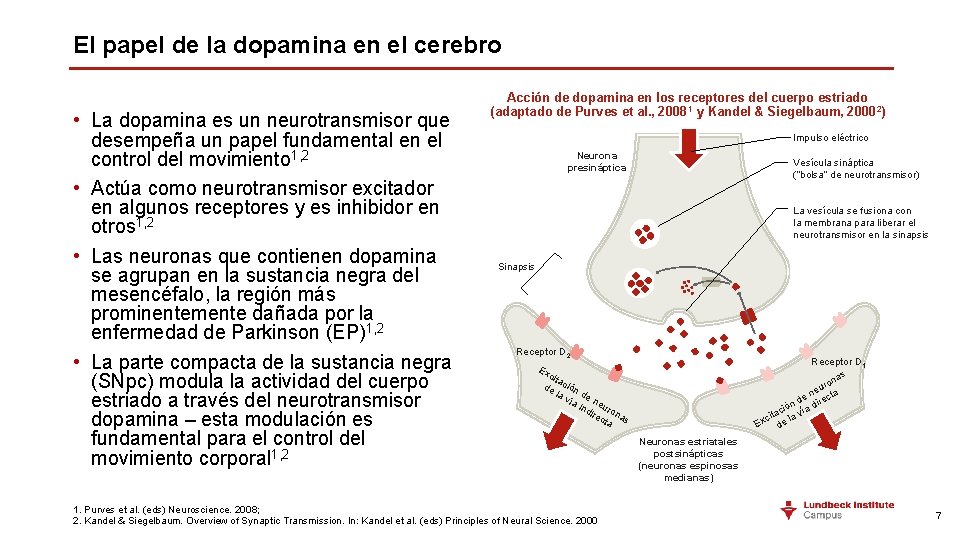 El papel de la dopamina en el cerebro • La dopamina es un neurotransmisor