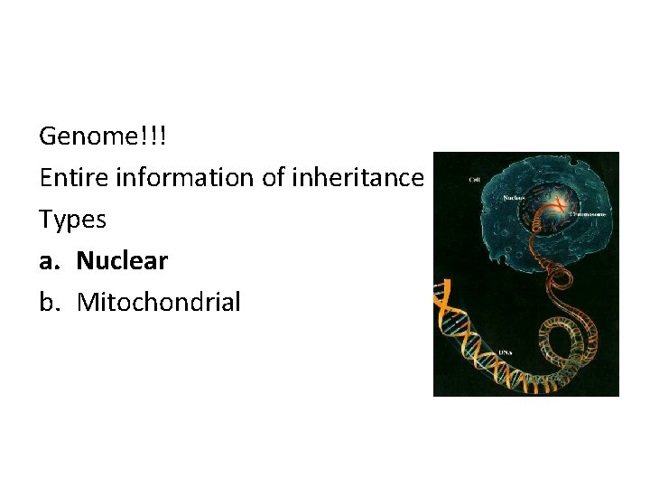 Genome!!! Entire information of inheritance Types a. Nuclear b. Mitochondrial 