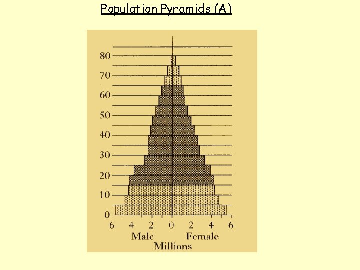 Population Pyramids (A) 