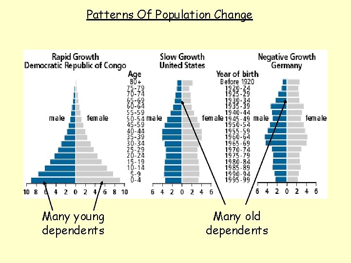 Patterns Of Population Change Many young dependents Many old dependents 