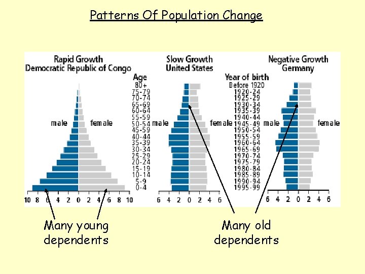 Patterns Of Population Change Many young dependents Many old dependents 