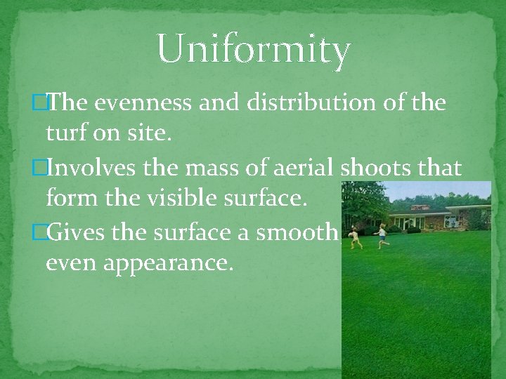 Uniformity �The evenness and distribution of the turf on site. �Involves the mass of