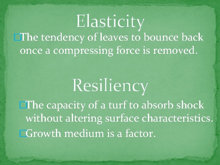 Elasticity �The tendency of leaves to bounce back once a compressing force is removed.