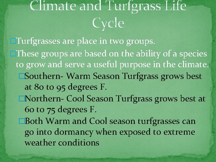 Climate and Turfgrass Life Cycle �Turfgrasses are place in two groups. �These groups are