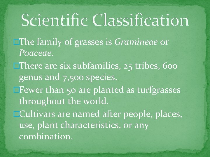 Scientific Classification �The family of grasses is Gramineae or Poaceae. �There are six subfamilies,