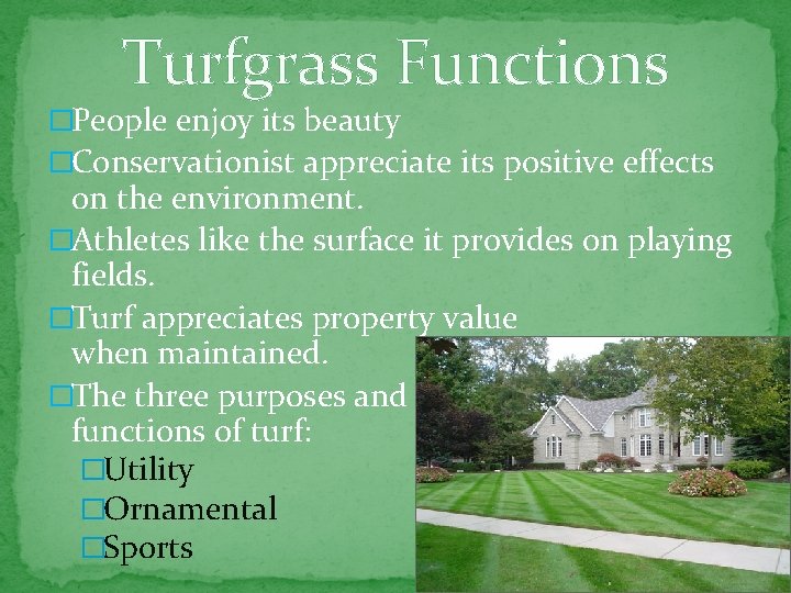 Turfgrass Functions �People enjoy its beauty �Conservationist appreciate its positive effects on the environment.