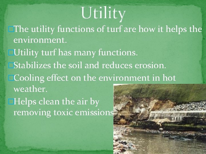 Utility �The utility functions of turf are how it helps the environment. �Utility turf