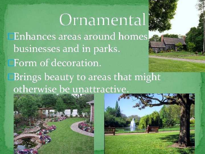 Ornamental �Enhances areas around homes, businesses and in parks. �Form of decoration. �Brings beauty