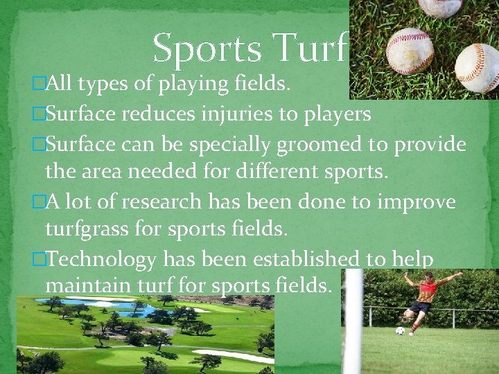 Sports Turf �All types of playing fields. �Surface reduces injuries to players �Surface can