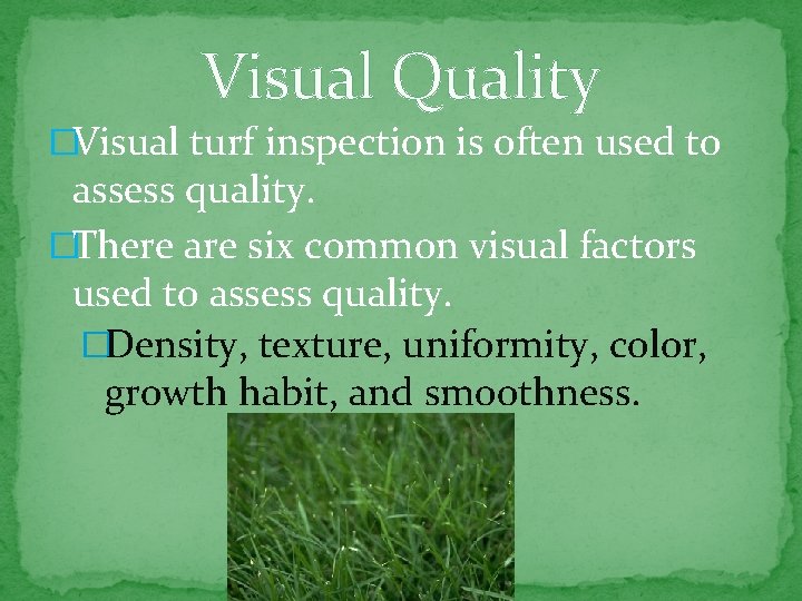 Visual Quality �Visual turf inspection is often used to assess quality. �There are six