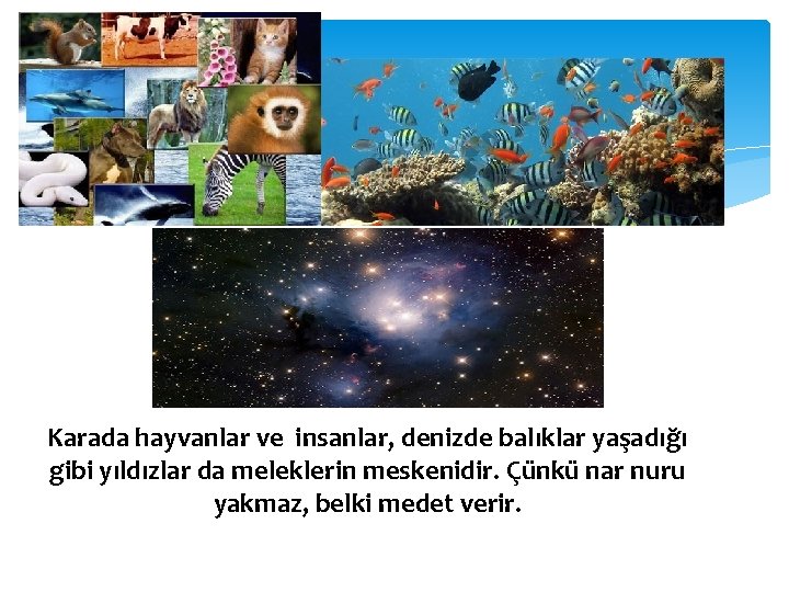 Karada hayvanlar ve insanlar, denizde balıklar yaşadığı gibi yıldızlar da meleklerin meskenidir. Çünkü nar