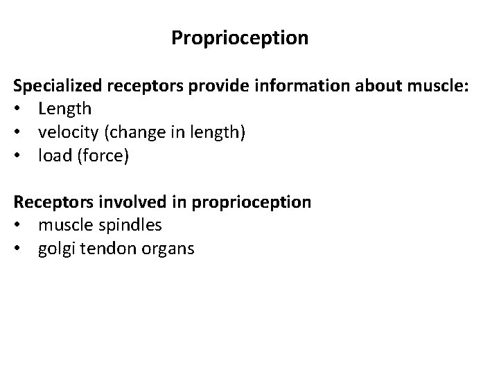 Proprioception Specialized receptors provide information about muscle: • Length • velocity (change in length)