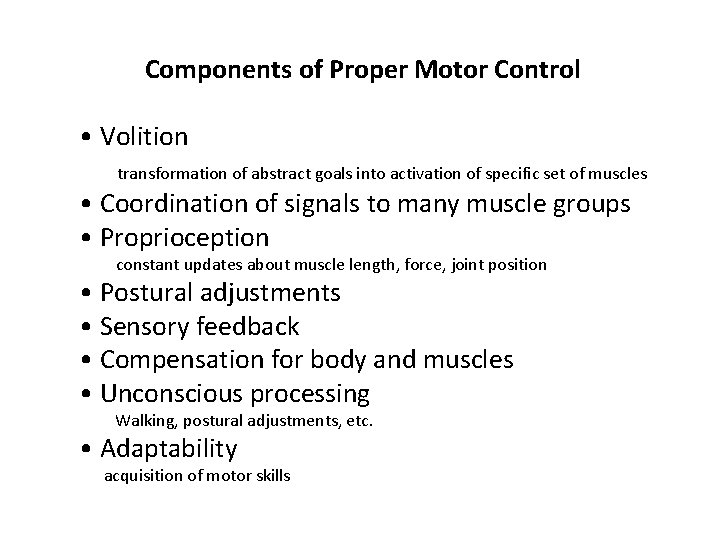 Components of Proper Motor Control • Volition transformation of abstract goals into activation of