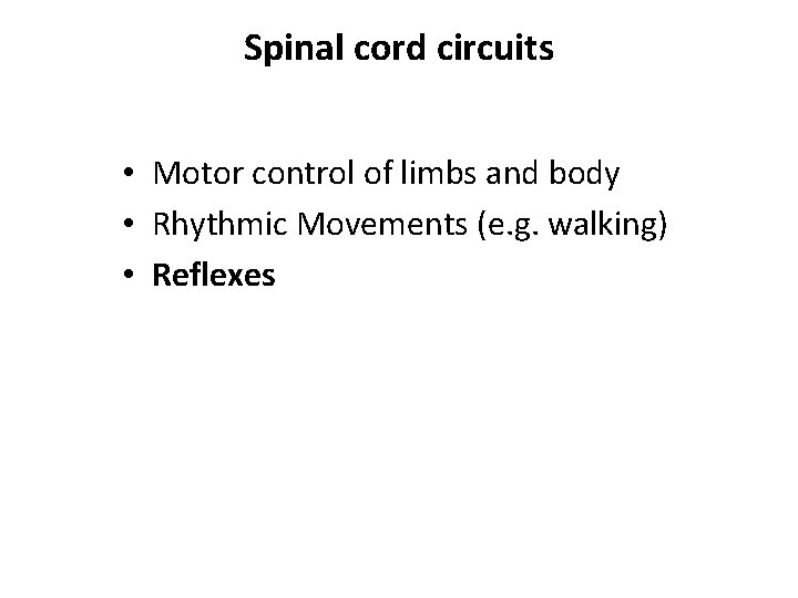 Spinal cord circuits • Motor control of limbs and body • Rhythmic Movements (e.