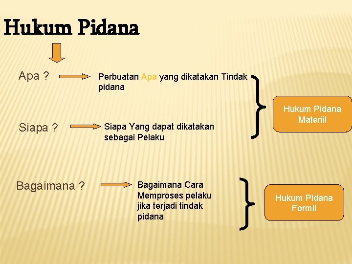 Hukum Pidana Apa ? Siapa ? Bagaimana ? Perbuatan Apa yang dikatakan Tindak pidana