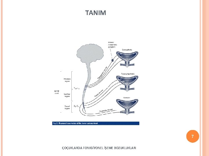 TANIM 7 ÇOÇUKLARDA FONKSİYONEL İŞEME BOZUKLUKLARI 