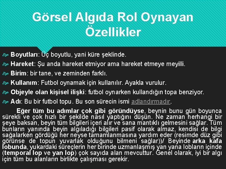 Görsel Algıda Rol Oynayan Özellikler Boyutları: Üç boyutlu, yani küre şeklinde. Hareket: Şu anda