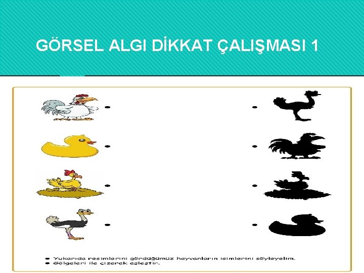 GÖRSEL ALGI DİKKAT ÇALIŞMASI 1 