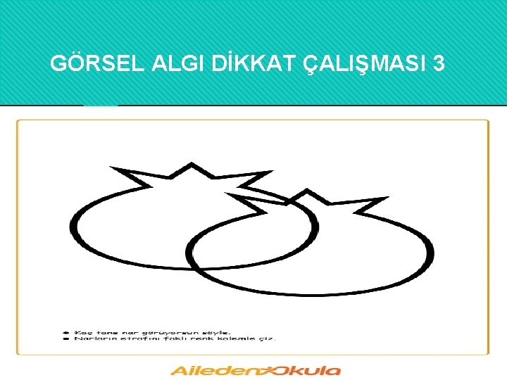 GÖRSEL ALGI DİKKAT ÇALIŞMASI 3 