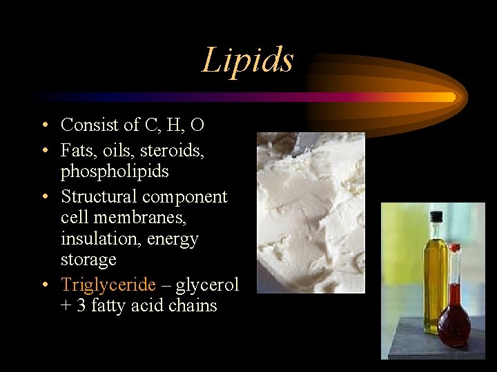 Lipids • Consist of C, H, O • Fats, oils, steroids, phospholipids • Structural
