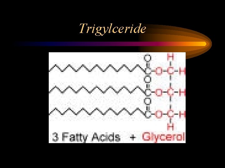 Trigylceride 