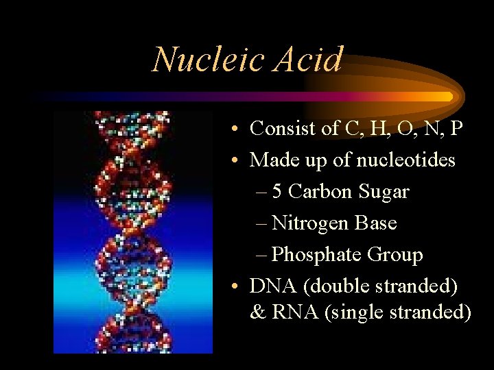 Nucleic Acid • Consist of C, H, O, N, P • Made up of