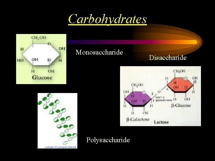 Carbohydrates Monosaccharide Polysaccharide Disaccharide 