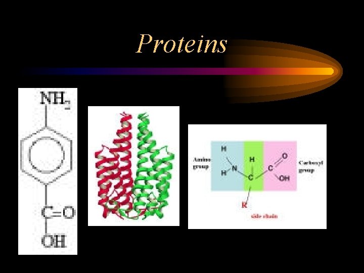 Proteins 