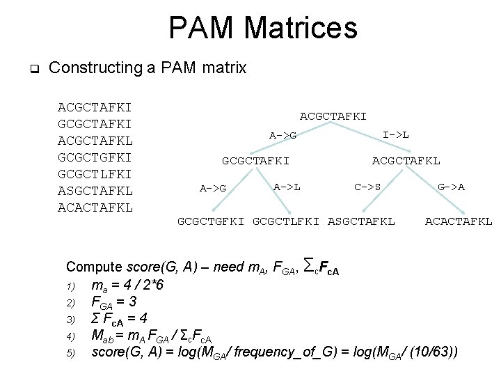 PAM Matrices q Constructing a PAM matrix ACGCTAFKI GCGCTAFKI ACGCTAFKL GCGCTGFKI GCGCTLFKI ASGCTAFKL ACACTAFKL