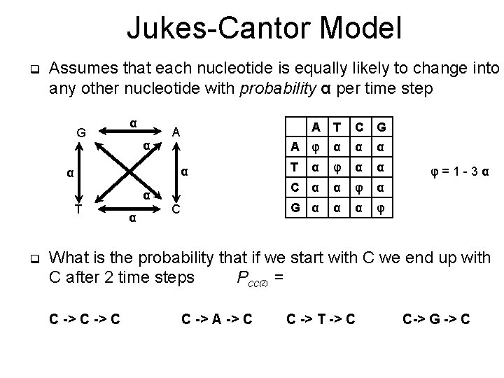 Jukes-Cantor Model q Assumes that each nucleotide is equally likely to change into any