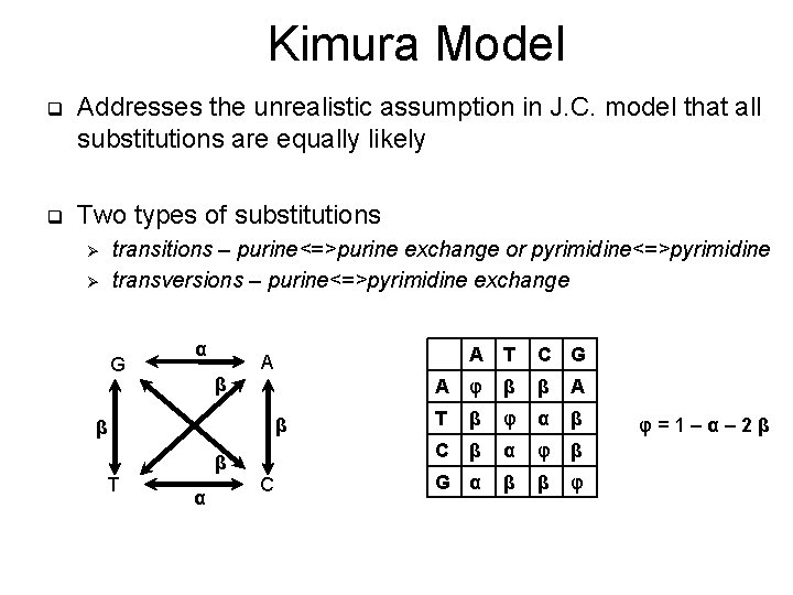 Kimura Model q Addresses the unrealistic assumption in J. C. model that all substitutions