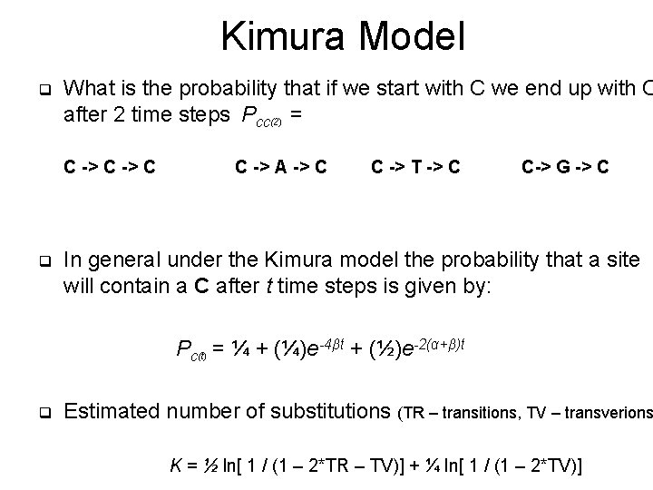 Kimura Model q What is the probability that if we start with C we