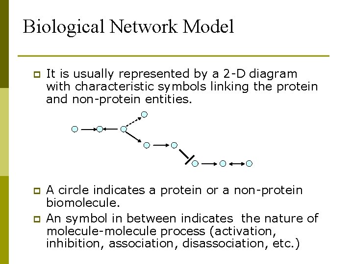 Biological Network Model p It is usually represented by a 2 -D diagram with