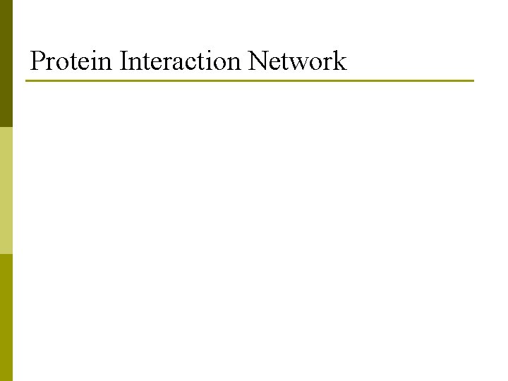 Protein Interaction Network 