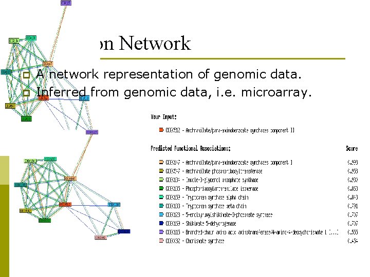 Expression Network p p A network representation of genomic data. Inferred from genomic data,