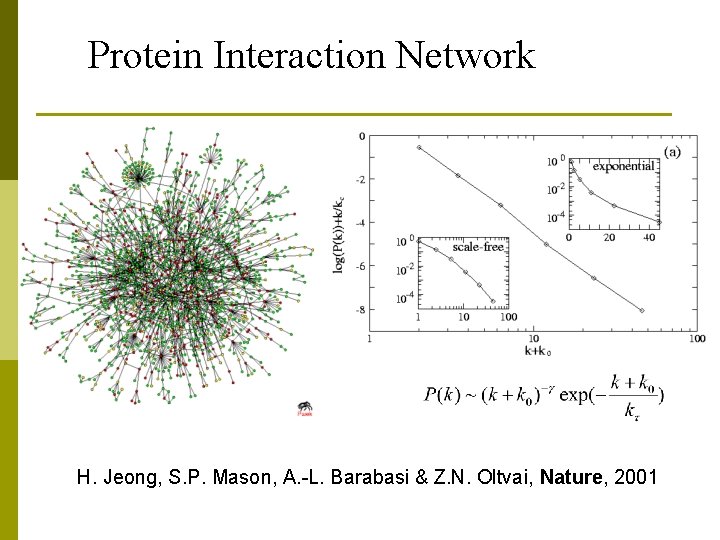 Protein Interaction Network H. Jeong, S. P. Mason, A. -L. Barabasi & Z. N.