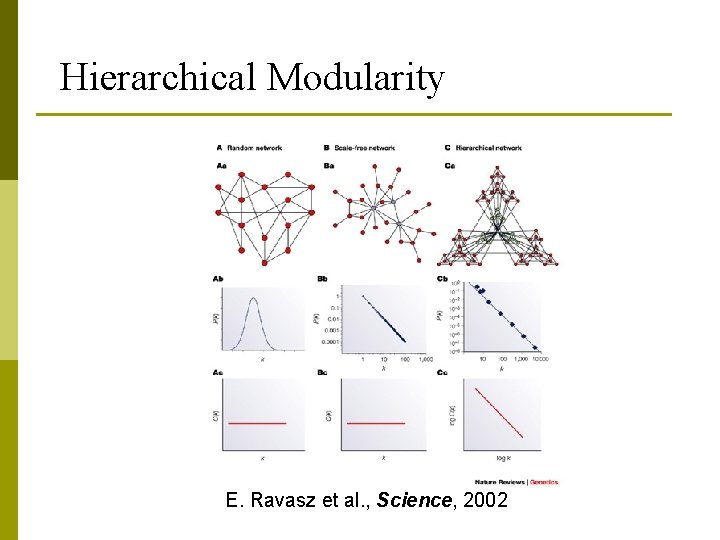 Hierarchical Modularity E. Ravasz et al. , Science, 2002 