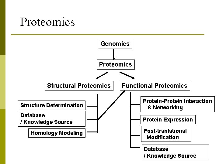 Proteomics Genomics Proteomics Structural Proteomics Functional Proteomics Structure Determination Protein-Protein Interaction & Networking Database
