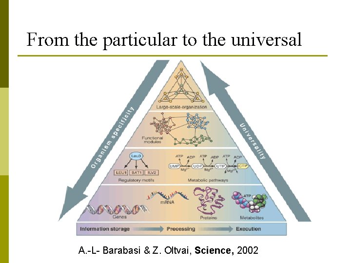 From the particular to the universal A. -L- Barabasi & Z. Oltvai, Science, 2002