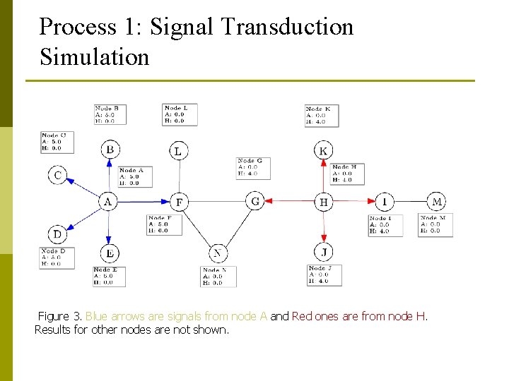 Process 1: Signal Transduction Simulation Figure 3. Blue arrows are signals from node A