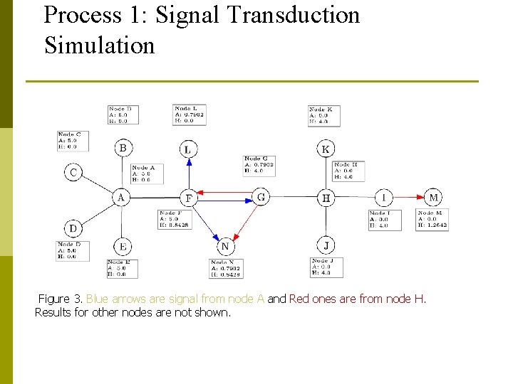 Process 1: Signal Transduction Simulation Figure 3. Blue arrows are signal from node A