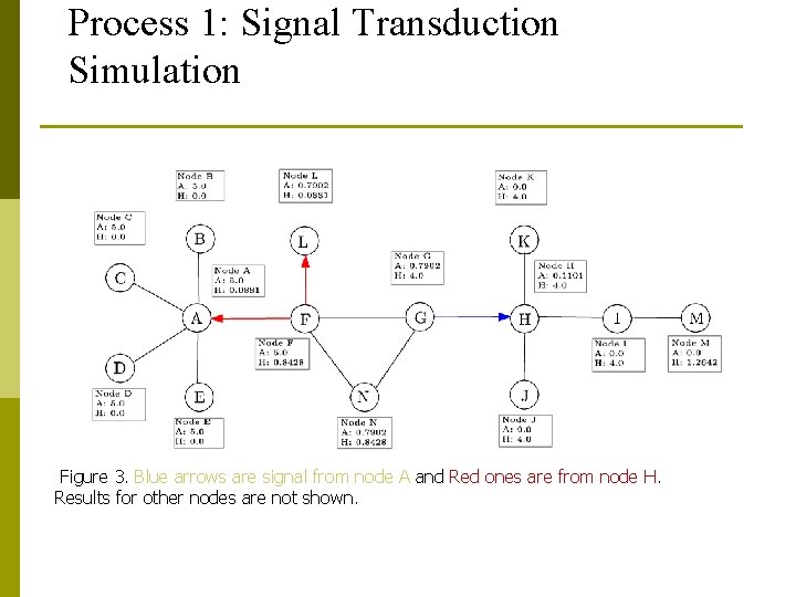 Process 1: Signal Transduction Simulation Figure 3. Blue arrows are signal from node A