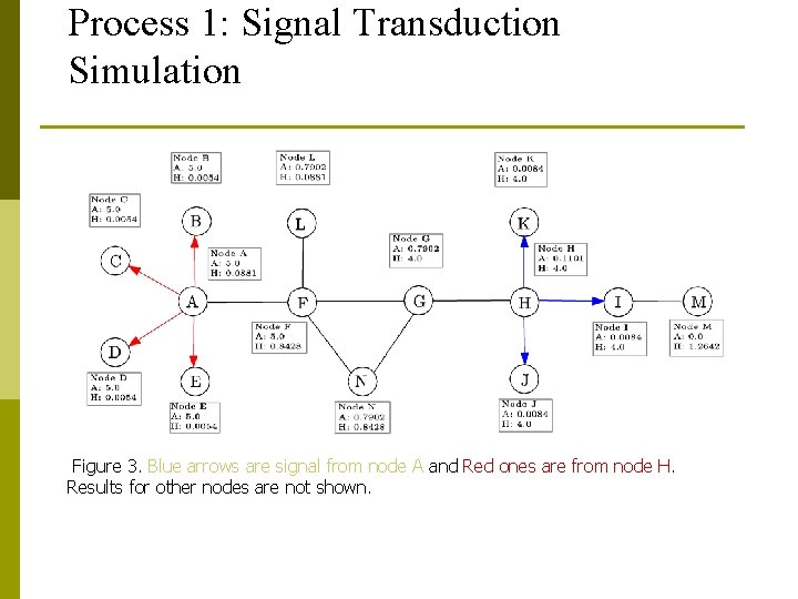 Process 1: Signal Transduction Simulation Figure 3. Blue arrows are signal from node A