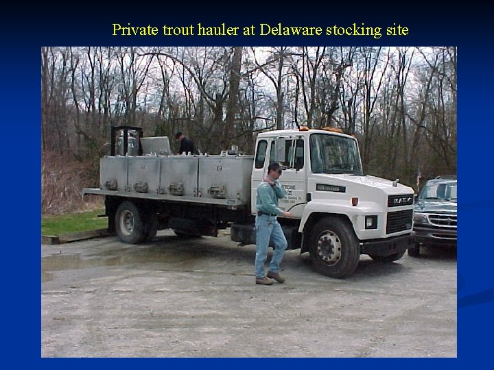 Private trout hauler at Delaware stocking site 