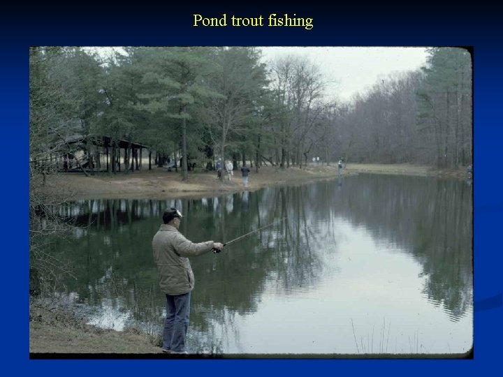 Pond trout fishing 