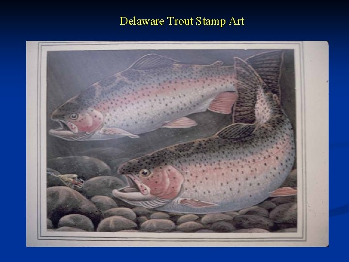 Delaware Trout Stamp Art 