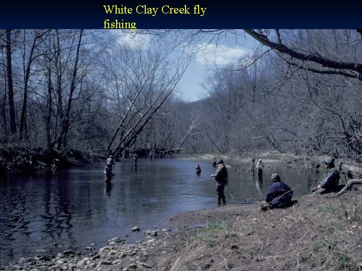 White Clay Creek fly fishing 